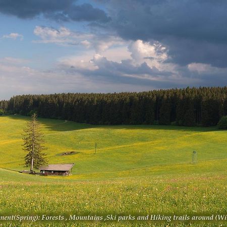 Entire House In Schwarzwald With Mountain View, Private Gym,Sauna And Garden Villa Unterkirnach Kültér fotó