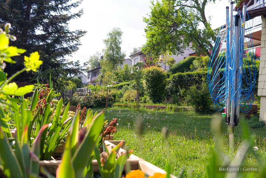 Entire House In Schwarzwald With Mountain View, Private Gym,Sauna And Garden Villa Unterkirnach Kültér fotó