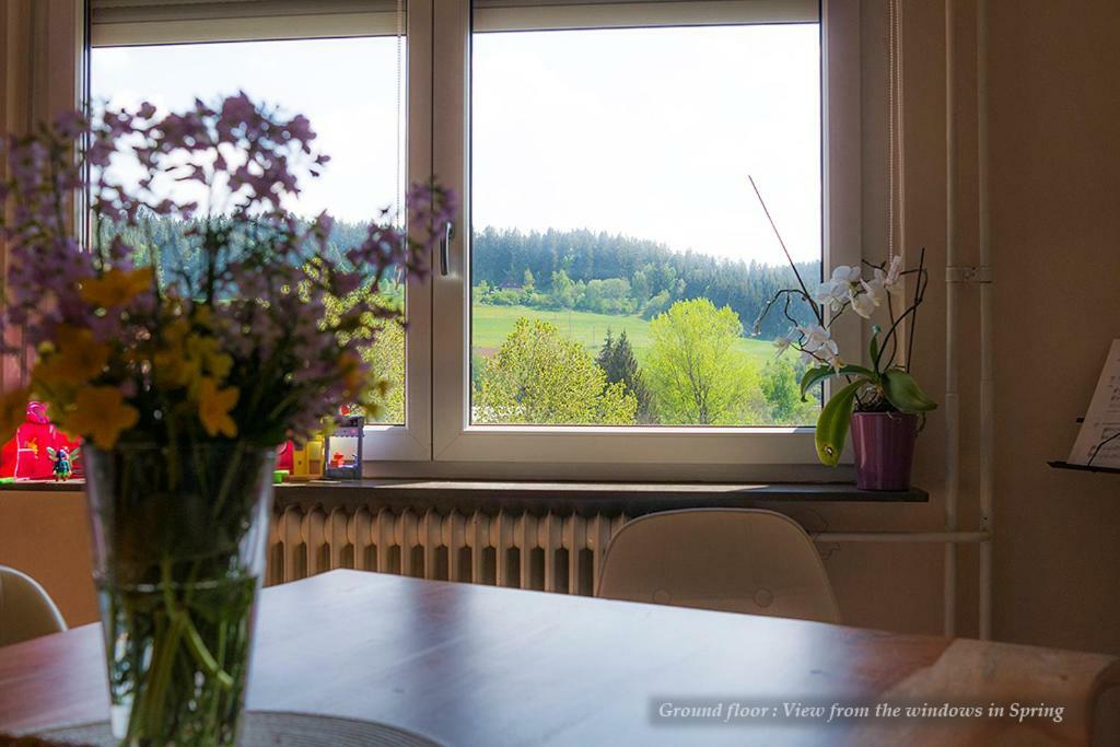 Entire House In Schwarzwald With Mountain View, Private Gym,Sauna And Garden Villa Unterkirnach Kültér fotó