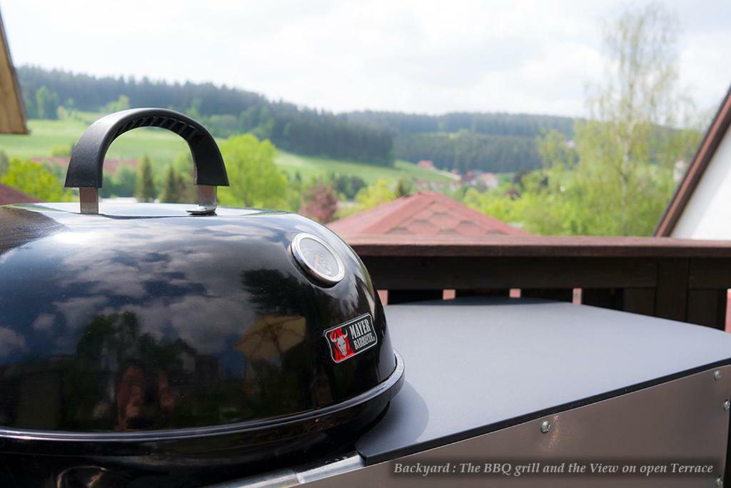 Entire House In Schwarzwald With Mountain View, Private Gym,Sauna And Garden Villa Unterkirnach Kültér fotó