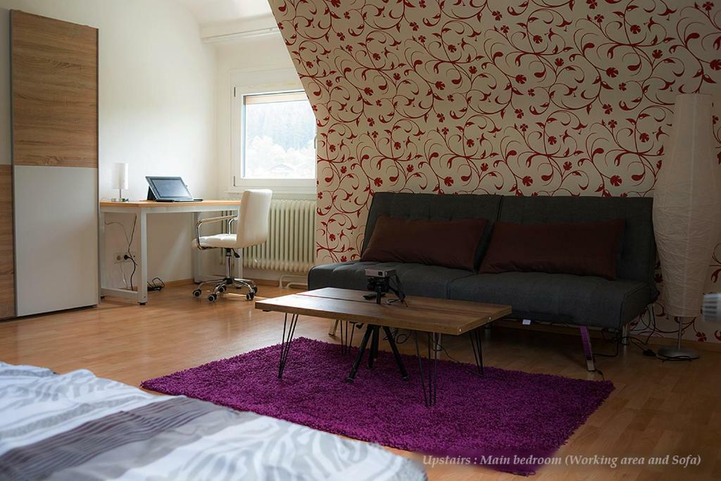 Entire House In Schwarzwald With Mountain View, Private Gym,Sauna And Garden Villa Unterkirnach Kültér fotó
