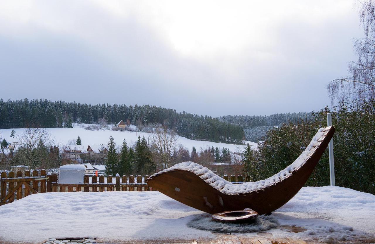 Entire House In Schwarzwald With Mountain View, Private Gym,Sauna And Garden Villa Unterkirnach Kültér fotó